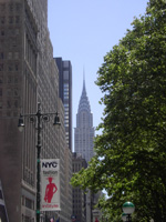 マンハッタンだよ～